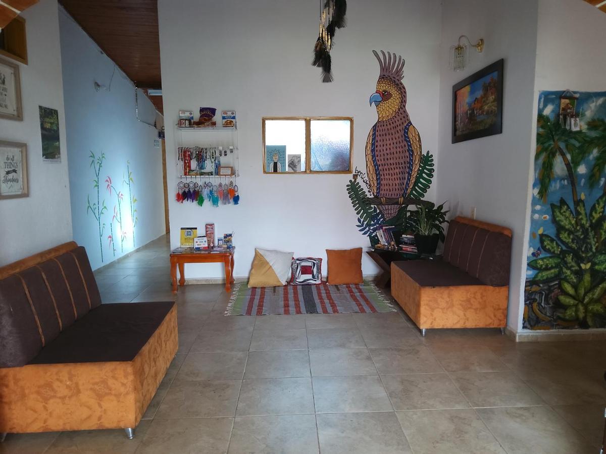Ferienwohnung Artesanos Y Turistas Guatapé Exterior foto